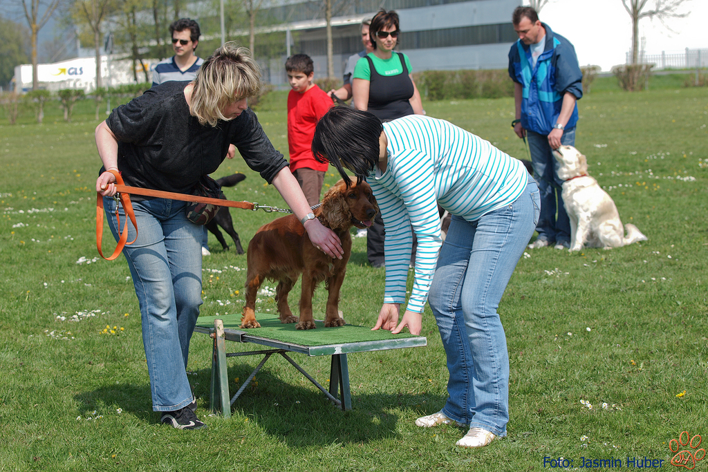 JH246004_Ausbildungskurs.JPG