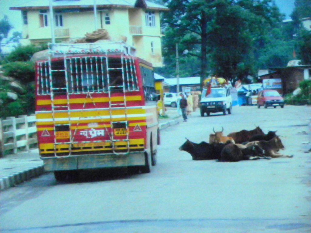 Bild 371_jpg-1288654508