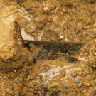 normal_02112010wasserrohrbrmwaktivnews_22.jpg