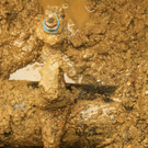 normal_02112010wasserrohrbrmwaktivnews_23.jpg