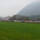 02112010unfalla8hmaktivnews _29_.JPG