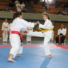 IMG_9056.JPG