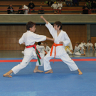IMG_9084.JPG