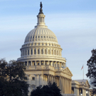 dc1-5wvxua7yz6r4cwvd5jd_original.jpg