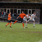 FC_EGG_0051.JPG