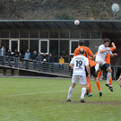FC_EGG_0055.JPG