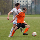 FC_EGG_0071.JPG
