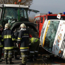 normal_03102010vulangensteinsaaktivnews021.jpg