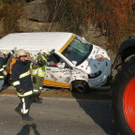 normal_03102010vulangensteinsaaktivnews053.jpg