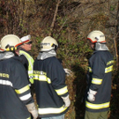 normal_03102010vulangensteinsaaktivnews068.jpg