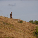 20100922_mohnenfluh_lech_369_luc.JPG