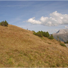 20100922_mohnenfluh_lech_372_luc.JPG