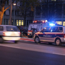 normal_041112010vukoernerstrlinzthaktivnews006.jpg