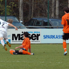 FC_EGG_0031.JPG