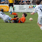 FC_EGG_0035.JPG