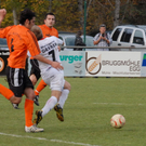 FC_EGG_0037.JPG