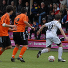 FC_EGG_0045.JPG