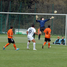 FC_EGG_0029.JPG