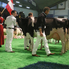 IMGP0716.JPG