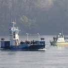 dc1-5wwxf8m28bp1jljsg5jd_original.jpg