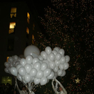 DSC08568.JPG