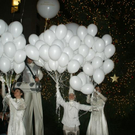 DSC08571.JPG