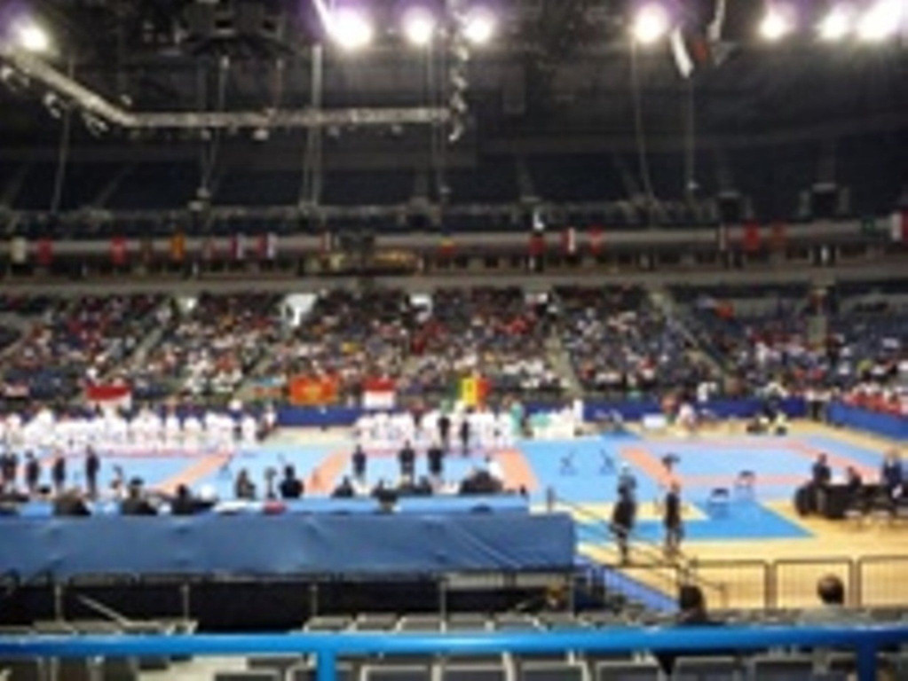 P1040384.jpg
