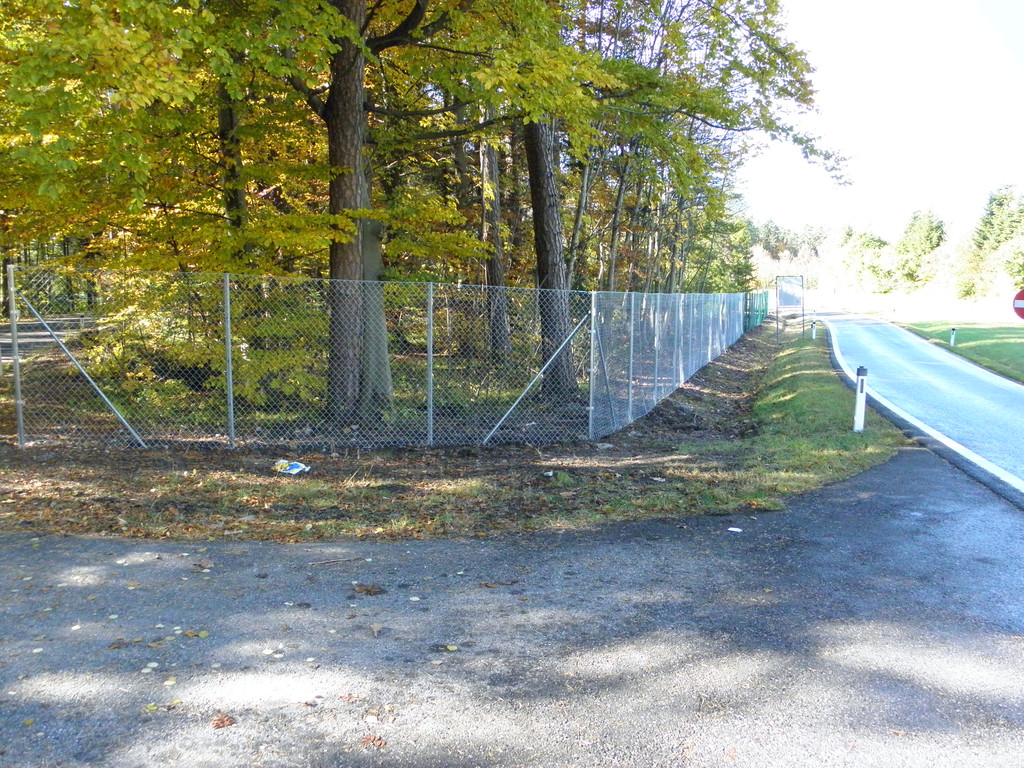 PA290008.JPG