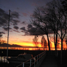 IMG_4852 _Large__JPG-1288902395