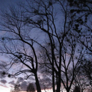 IMG_4853 _Large__JPG-1288902398