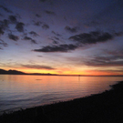 IMG_4873 _Large__JPG-1288902418