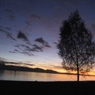 IMG_4888 _Large__JPG-1288902437