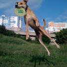 Odin 3_jpg-1288942232