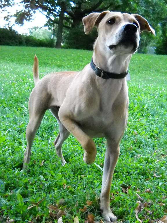 Odin 11_jpg-1288942249