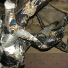 SH105554_JPG-1288949839