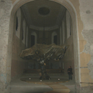 SH105561_JPG-1288949868
