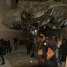 SH105600_JPG-1288950071
