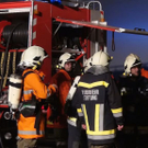 normal_04112010branbadleonfeldensaaktivnews002.jpg