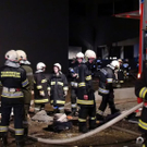 normal_04112010branbadleonfeldensaaktivnews010.jpg