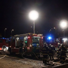 normal_04112010branbadleonfeldensaaktivnews017.jpg