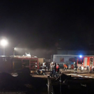 normal_04112010branbadleonfeldensaaktivnews021.jpg