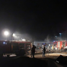 normal_04112010branbadleonfeldensaaktivnews024.jpg