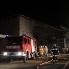 normal_04112010branbadleonfeldensaaktivnews029.jpg