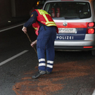 normal_05112010lkwflughafentaaktivnews_04.jpg