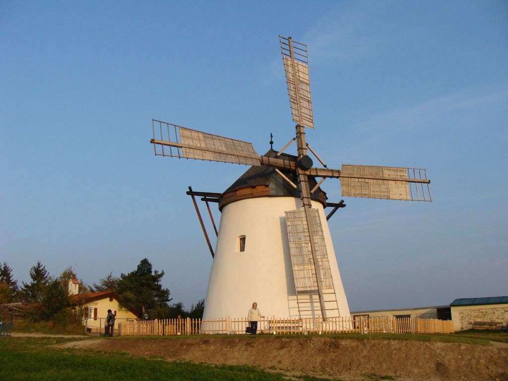 DSC02102_JPG-1288980297