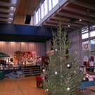 Basar 2.jpg