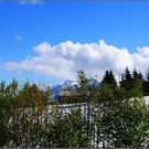DSC00463_JPG-1289048655