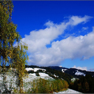 DSC00467_JPG-1289048662