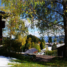 DSC00475_JPG-1289048670