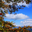DSC00492_JPG-1289048694